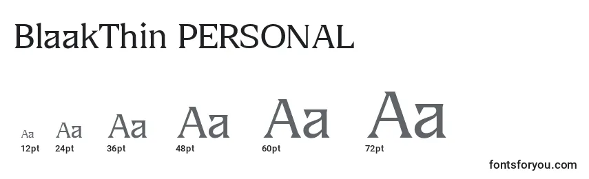 Размеры шрифта BlaakThin PERSONAL