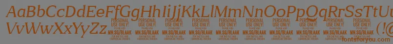 Police BlaakThinItalic PERSONAL – polices brunes sur fond gris