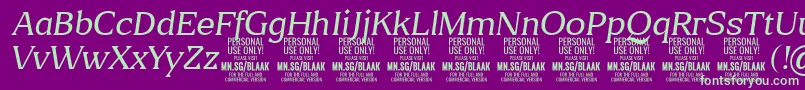 BlaakThinItalic PERSONAL-Schriftart – Grüne Schriften auf violettem Hintergrund