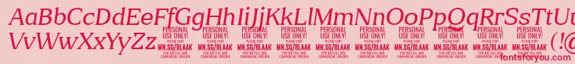 BlaakThinItalic PERSONAL Font – Red Fonts on Pink Background