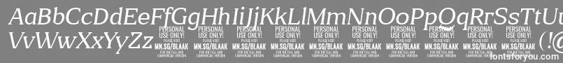 BlaakThinItalic PERSONAL Font – White Fonts on Gray Background