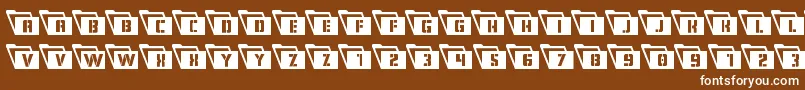 Eyesonlysemicondleft Font – White Fonts on Brown Background