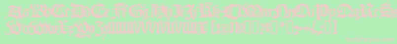 BLACH    Font – Pink Fonts on Green Background