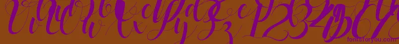 Шрифт black stud – фиолетовые шрифты на коричневом фоне