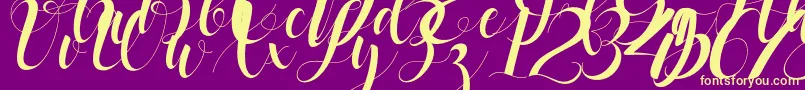 black stud Font – Yellow Fonts on Purple Background