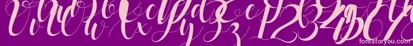 black stud Font – Pink Fonts on Purple Background