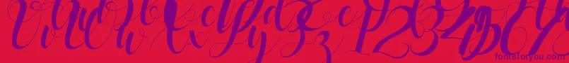 black stud Font – Purple Fonts on Red Background