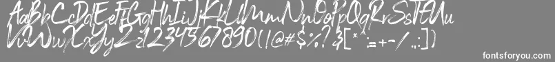 Black Vosten Personal Use Font – White Fonts on Gray Background