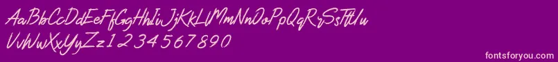 Blackbeard demo Font – Pink Fonts on Purple Background