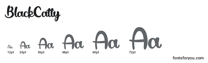 BlackCatty Font Sizes