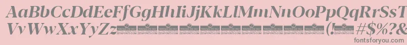 Blacker Display Bold italic trial Font – Gray Fonts on Pink Background