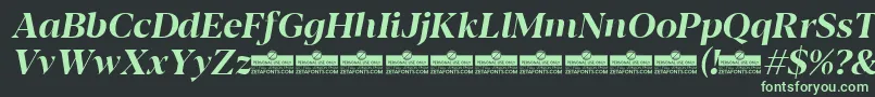フォントBlacker Display Bold italic trial – 黒い背景に緑の文字