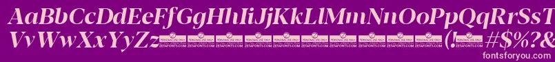 Blacker Display Bold italic trial Font – Pink Fonts on Purple Background