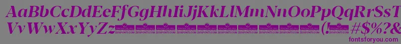 Blacker Display Bold italic trial Font – Purple Fonts on Gray Background