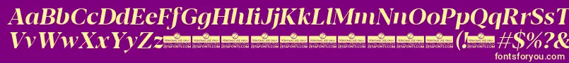 Police Blacker Display Bold italic trial – polices jaunes sur fond violet