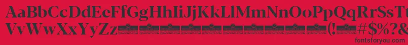 Blacker Display Bold trial Font – Black Fonts on Red Background