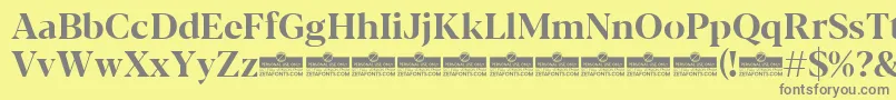 Blacker Display Bold trial Font – Gray Fonts on Yellow Background