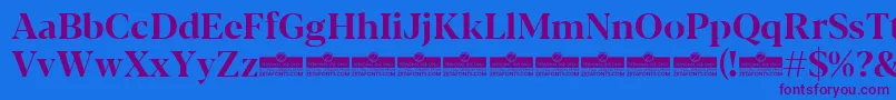Blacker Display Bold trial Font – Purple Fonts on Blue Background