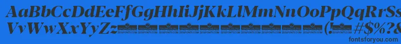 Blacker Display ExtraBold Italic trial Font – Black Fonts on Blue Background