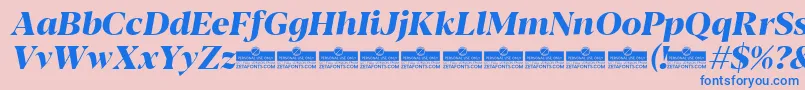 Blacker Display ExtraBold Italic trial Font – Blue Fonts on Pink Background