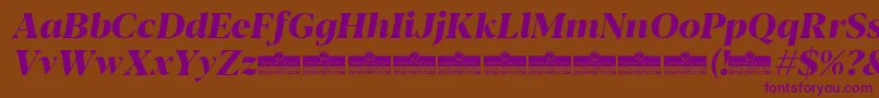Blacker Display ExtraBold Italic trial Font – Purple Fonts on Brown Background