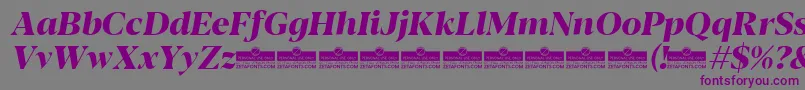 Шрифт Blacker Display ExtraBold Italic trial – фиолетовые шрифты на сером фоне