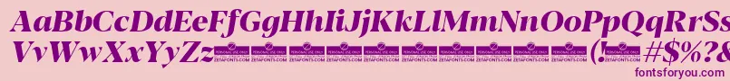 Blacker Display ExtraBold Italic trial Font – Purple Fonts on Pink Background