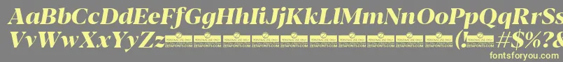 Czcionka Blacker Display ExtraBold Italic trial – żółte czcionki na szarym tle