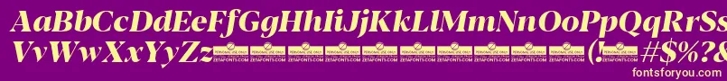 Czcionka Blacker Display ExtraBold Italic trial – żółte czcionki na fioletowym tle