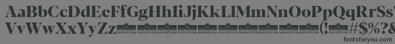 Шрифт Blacker Display ExtraBold trial – чёрные шрифты на сером фоне