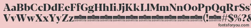 Blacker Display ExtraBold trial Font – Black Fonts on Pink Background