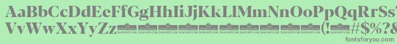 Blacker Display ExtraBold trial-Schriftart – Graue Schriften auf grünem Hintergrund
