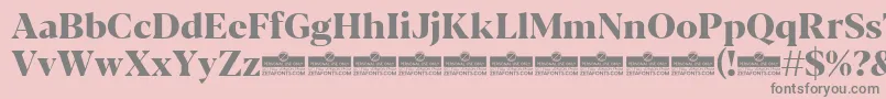 Blacker Display ExtraBold trial Font – Gray Fonts on Pink Background