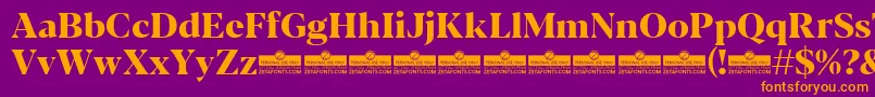 Blacker Display ExtraBold trial Font – Orange Fonts on Purple Background