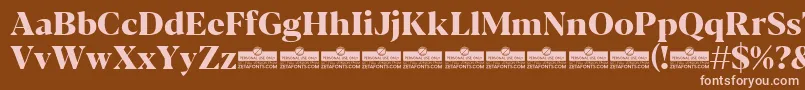 Blacker Display ExtraBold trial Font – Pink Fonts on Brown Background