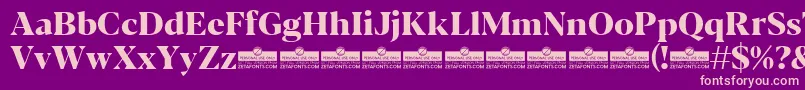 Blacker Display ExtraBold trial Font – Pink Fonts on Purple Background