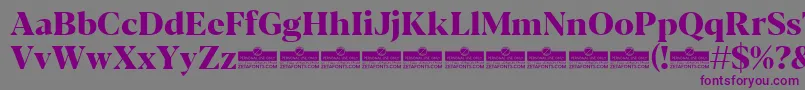Blacker Display ExtraBold trial Font – Purple Fonts on Gray Background