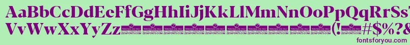 Blacker Display ExtraBold trial Font – Purple Fonts on Green Background