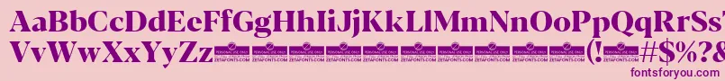 Blacker Display ExtraBold trial Font – Purple Fonts on Pink Background