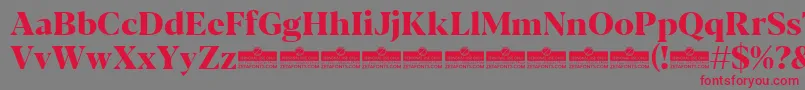 フォントBlacker Display ExtraBold trial – 赤い文字の灰色の背景