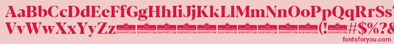 Blacker Display ExtraBold trial Font – Red Fonts on Pink Background