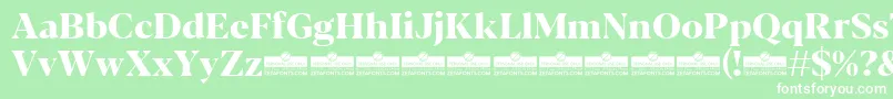フォントBlacker Display ExtraBold trial – 緑の背景に白い文字