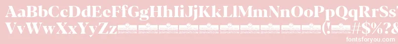 Blacker Display ExtraBold trial Font – White Fonts on Pink Background