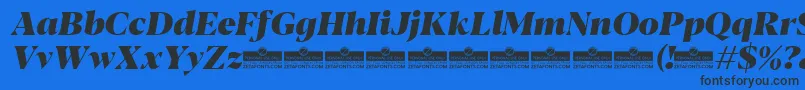 Blacker Display Heavy Italic trial Font – Black Fonts on Blue Background