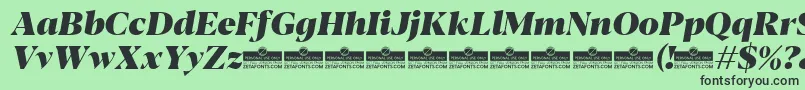 Blacker Display Heavy Italic trial Font – Black Fonts on Green Background