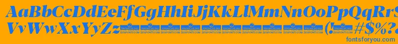 Blacker Display Heavy Italic trial Font – Blue Fonts on Orange Background