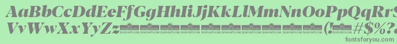 Blacker Display Heavy Italic trial Font – Gray Fonts on Green Background