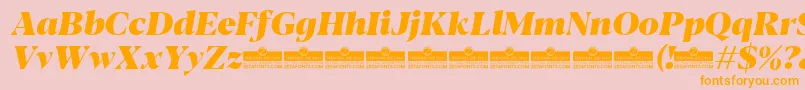 Blacker Display Heavy Italic trial Font – Orange Fonts on Pink Background