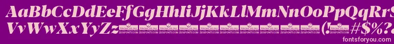 Blacker Display Heavy Italic trial Font – Pink Fonts on Purple Background