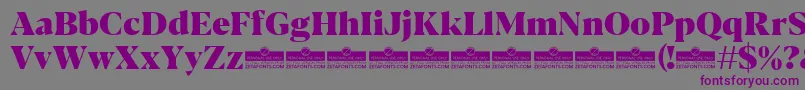 フォントBlacker Display Heavy trial – 紫色のフォント、灰色の背景